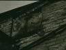 No Thumbnail but may still be an Image